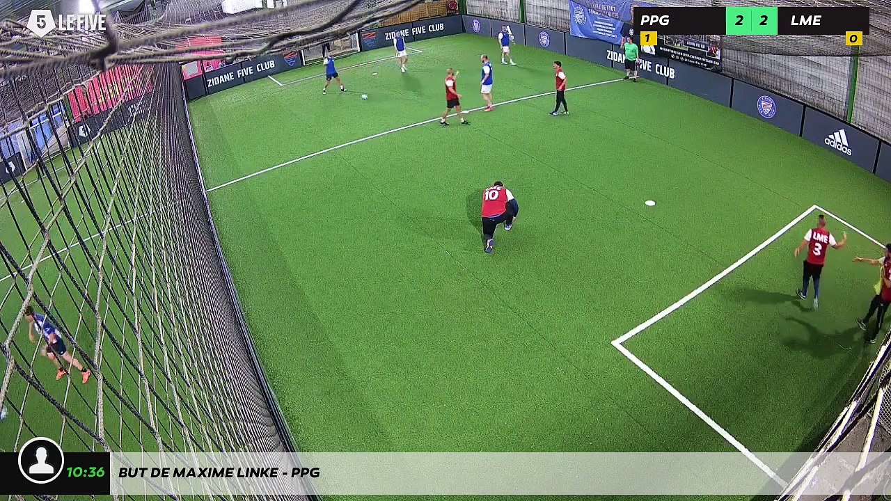 But de MAXIME LINKE - PPG