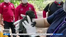 Salvan a tres personas que sufrieron mordeduras de animales ponzoñosos en Coahuila
