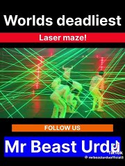 Lambo race in Mr beast video