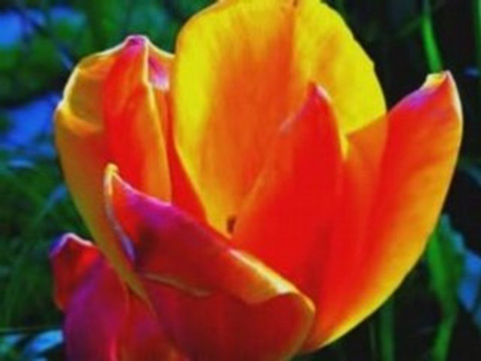 Spring 2008