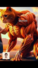 big cat and old woman story #animalcat #cat #trendingvideo