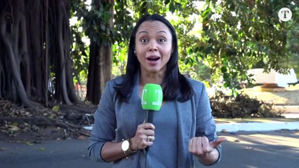 ACOMPANHE AO VIVO FM O TEMPO AO VIVO (2567)