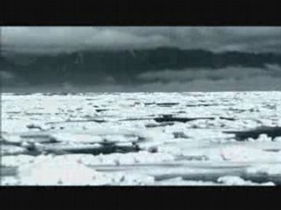 Eisblume - unter dem eis ( remix )