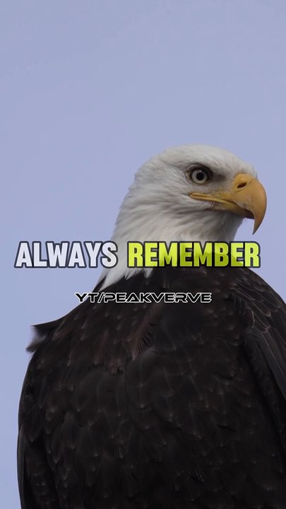 God love You #viral #viraldailymotion #motivation #sigma #sigmarule #sign