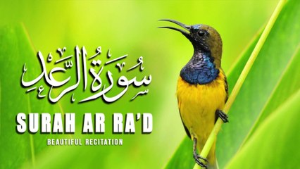 Surah Ar Ra'd |سورة الرعد  | Beautiful Recitation |Quran |Tilawat |Al Quran