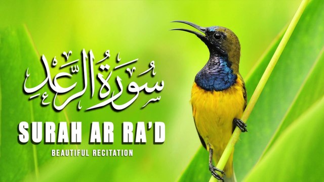 Surah Ar Ra'd |سورة الرعد | Beautiful Recitation |Quran |Tilawat |Al Quran