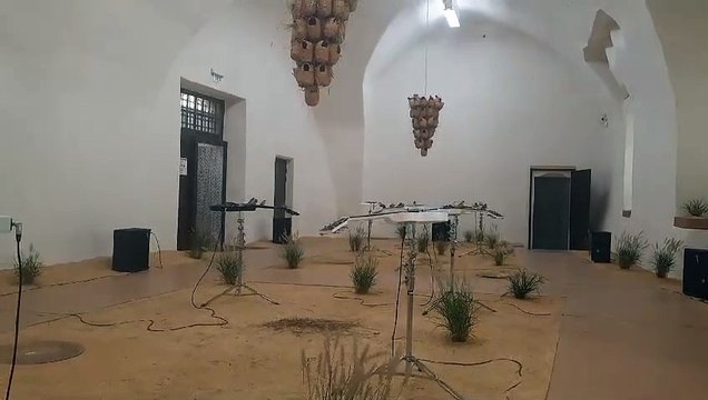 Céleste Boursier-Mougenot, from here to hear. Vue de l’installation dans le cadre de l'exposition Habiter le Monde au Château - Centre d'Art Contemporain et du Patrimoine d'Aubenas. ©Adagp, Paris, 2024.