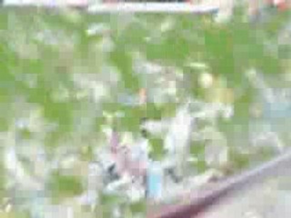 CLIP0028 Metz-OM