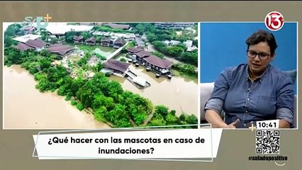 Entrevista - ¿Qué hacer con las mascotas en inundaciones?