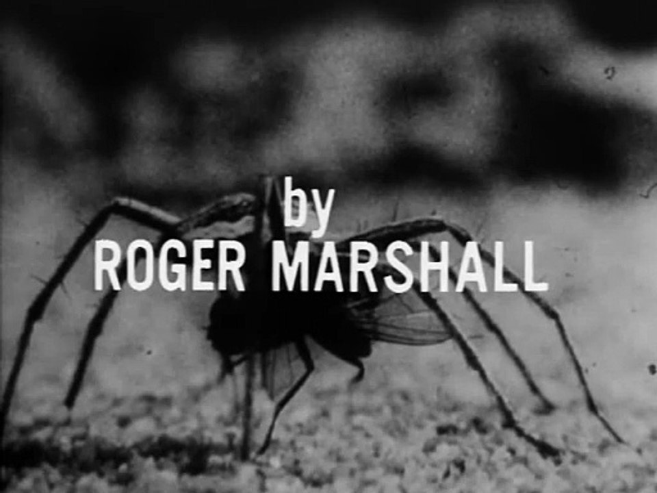 Shadows Of Fear (1970) Episode 10 Come Into My Parlour