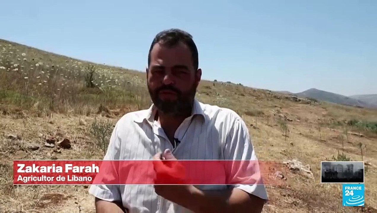 Líbano: agricultores alertan posible contaminación con fósforo blanco por bombardeos israelíes