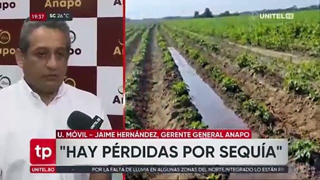 Anapo: Se dejarán de producir 1,5 millones de toneladas de granos debido a la sequía