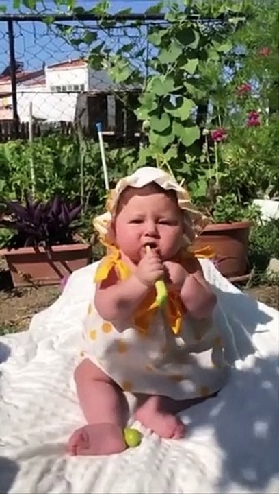 Funny Baby Videos