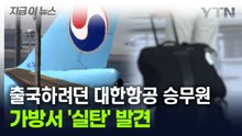 승무원 가방서 발견된 '실탄'...대한항공 "고의성 없다" [지금이뉴스] / YTN