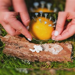 Smart Camping Hacks for a Better Trip 🏕️