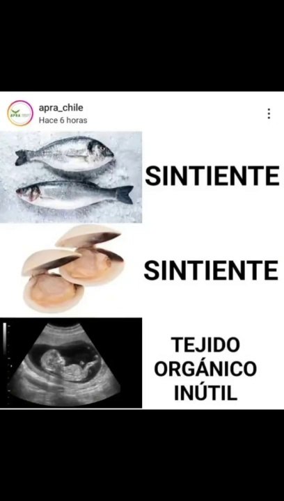 INCREIBLE VIDEO.