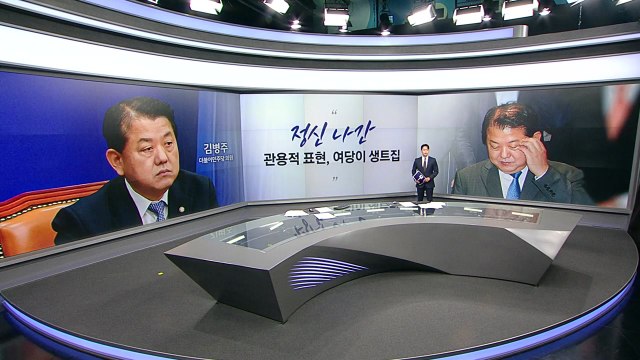 [말말말] 김병주 관용적 표현, 여당이 생트집 천하람 정신이 나갔었나봐, 국회 / YTN