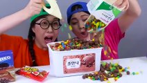 Chocolate Ice Cream Challenge 초콜릿 아이스크림 챌린지 DONA 도나