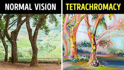 Your Body Is Doing Crazy Things Since You Were Born