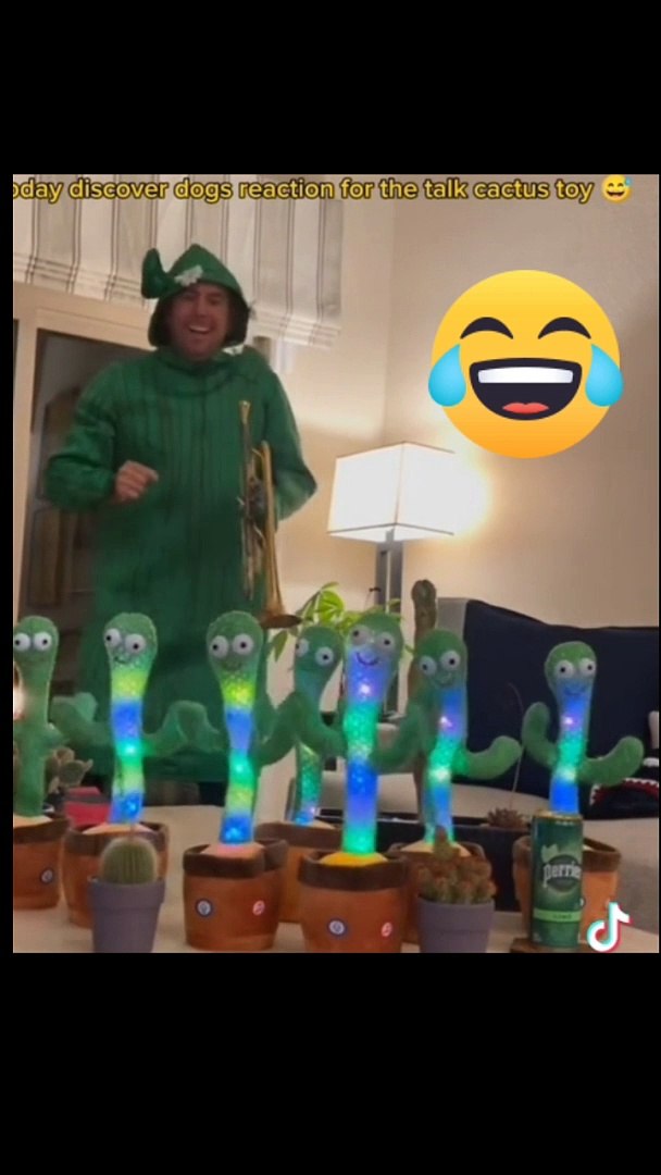 ⁣Animals Funny videos on toys Reaction