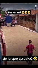 casi_brota_los_ojos_y_no_fue_del_susto__#tiktok_#fly_#humor_#viral_#toro(1080p)