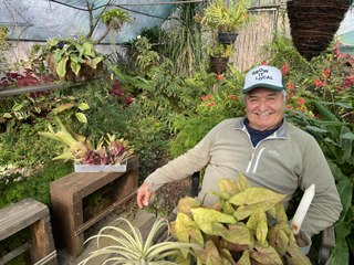 Meet Nick Rendina: Leeton's The Happy Harvester 🌱