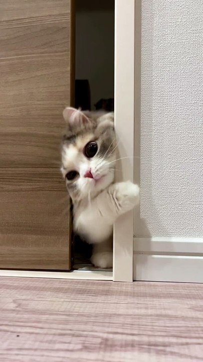 #Funny