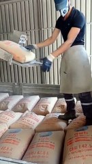 Smart Working, Not Hard #shorts #viral