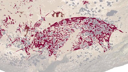 "인도네시아 동굴 벽화, 5만 년 전 그린 것...가장 오래돼" / YTN
