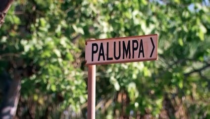 Remains found after suspected crocodile attack in remote NT