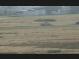 997GT3 vs 996 C4S (1)