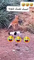 Program to badh gaya