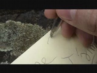 Je ne t'aime plus mon amour