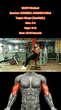 ❌ DUMBBELL HAMMER CURLS ✔️ How can I Build my BICEPS Bigger? #heermlgangaputra #naturalbodybuilding #workout #exercise #fitness #gym #muscle #training