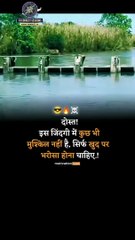 Motivational educational videos