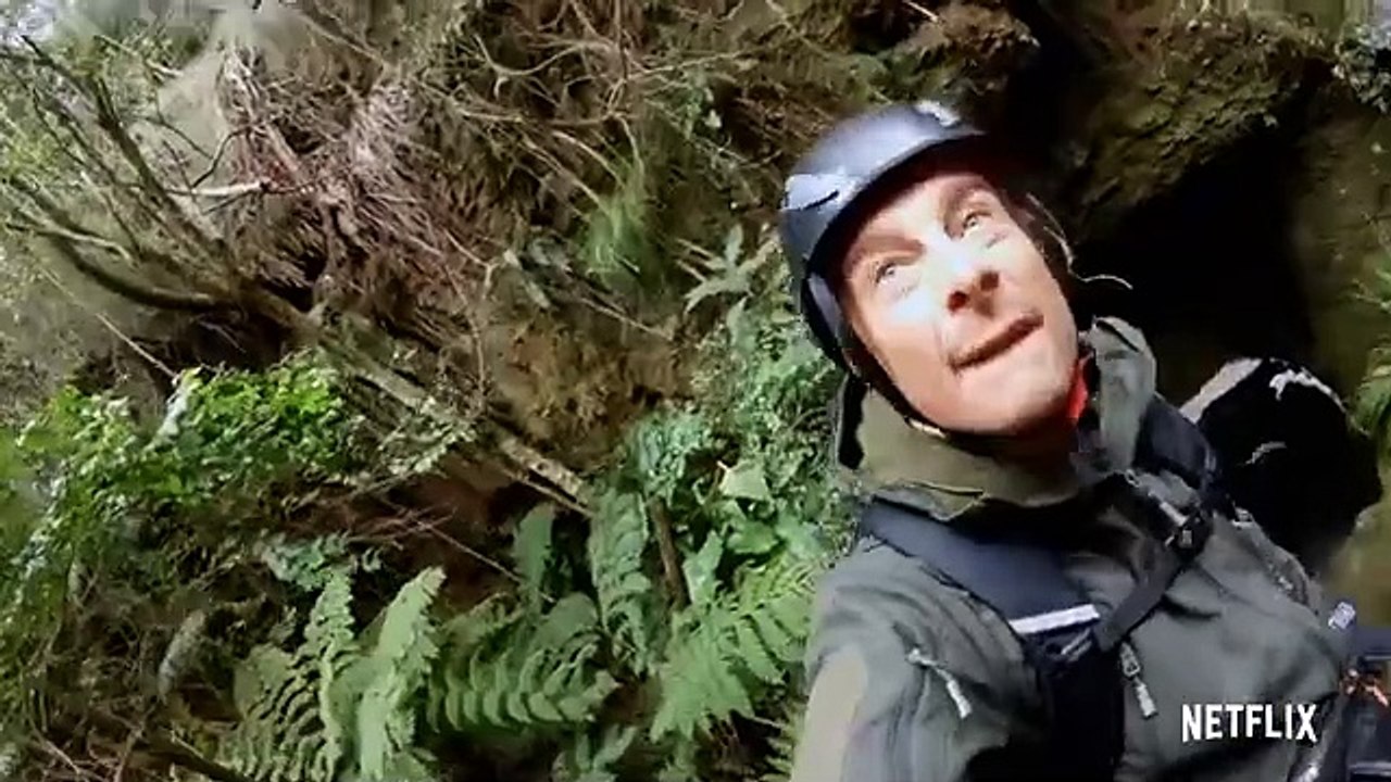 Bear’s WILDest Moments  Animals on the Loose- A You vs Wild Movie _ Netflix Af