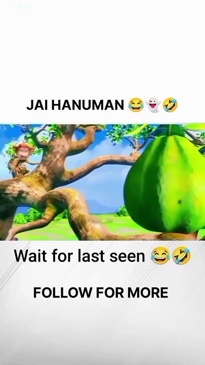 Funny monkey video