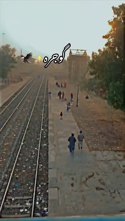 VID-20240120-WA0003