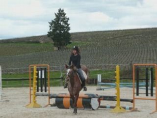 ^^Concours aux peirres dorées^^