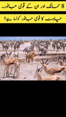 National Animals Of Eight Countries