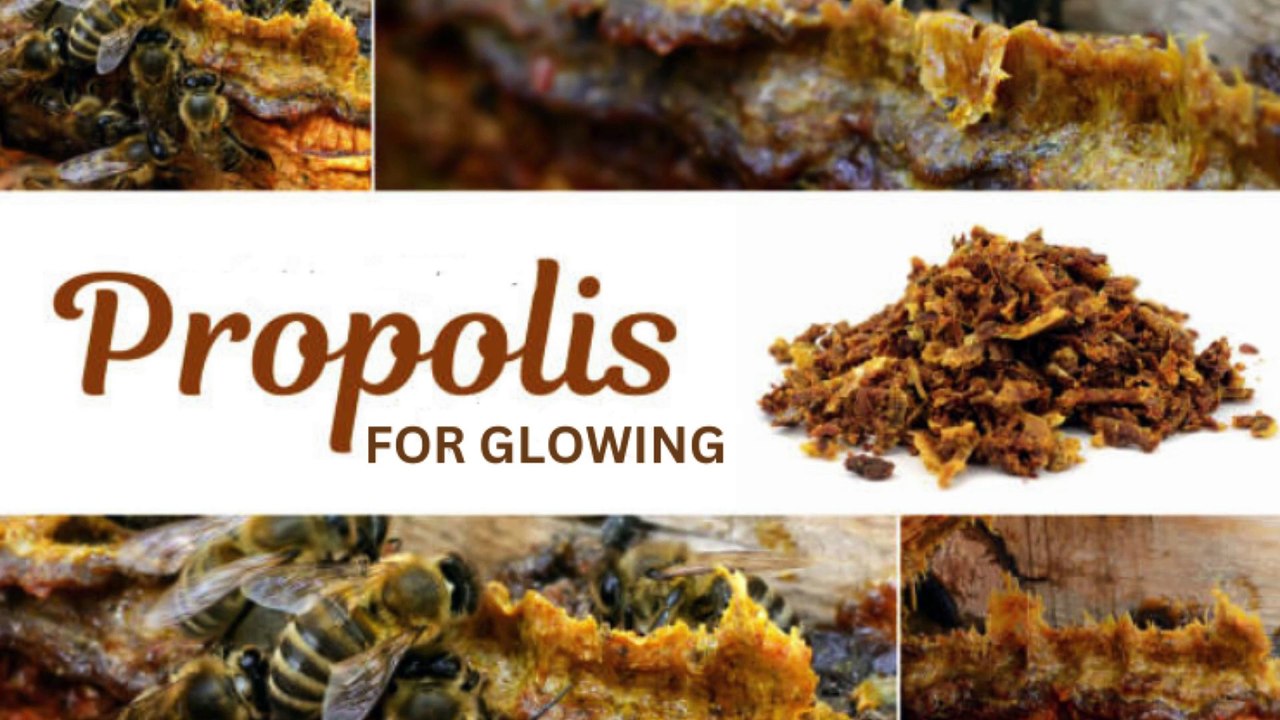 propolis skin benefits