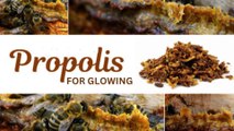 propolis skin benefits