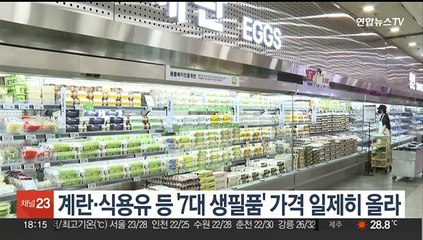 계란·식용유 등 '7대 생필품' 가격 일제히 올라