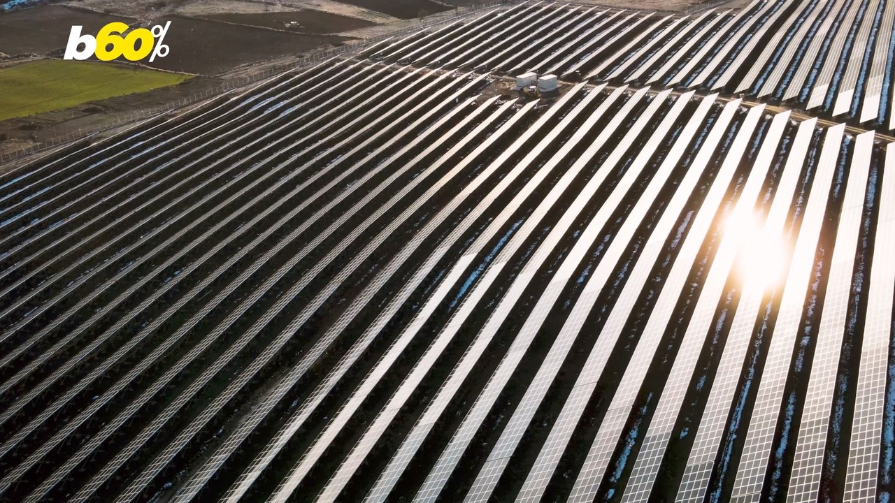 Most Americans Want To See More Sustainability Requirements For Companies