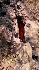 İtalya’daki Etna Yanardağı yeniden faaliyette