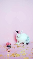 Cute Bunny Wearing a Party Hat Next to a Cupcake.