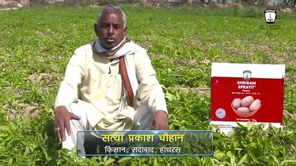 Transform Your Potato Crop with Shriram Sprayit