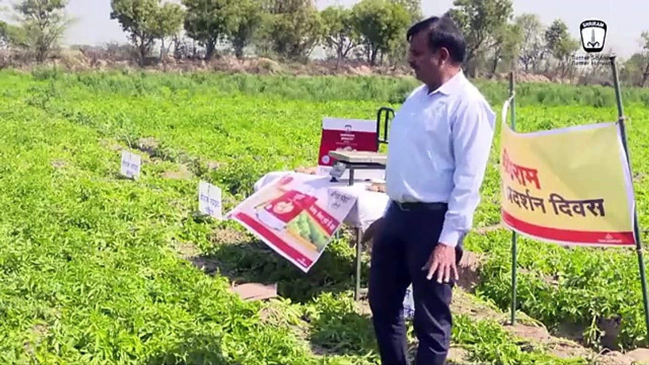 Transform Your Potato Crop with Shriram SprayIt: Boost Size, Weight, and Color