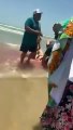 Viral Seorang Warga Amerika Digigit Oleh Ikan Hiu Saat Berenang Di Pantai