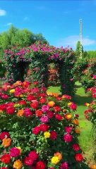 Laugh your way to happiness,laugh,smail,and enjoy,